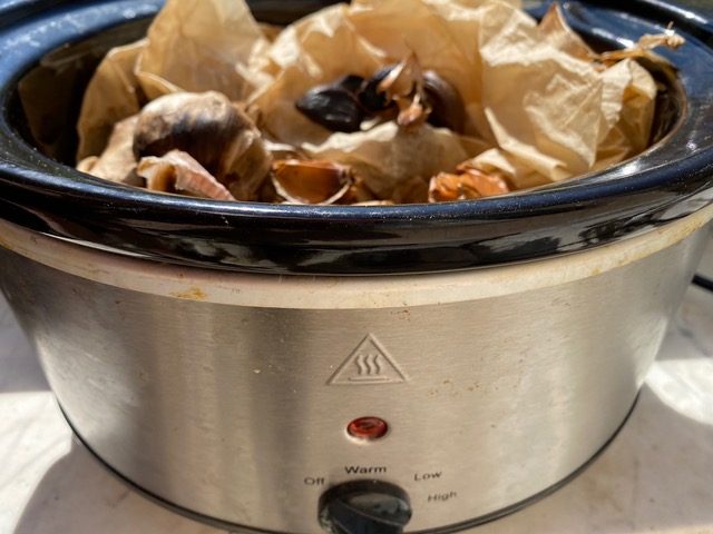 Black garlic bulbs prepared in Ro’s slow cooker